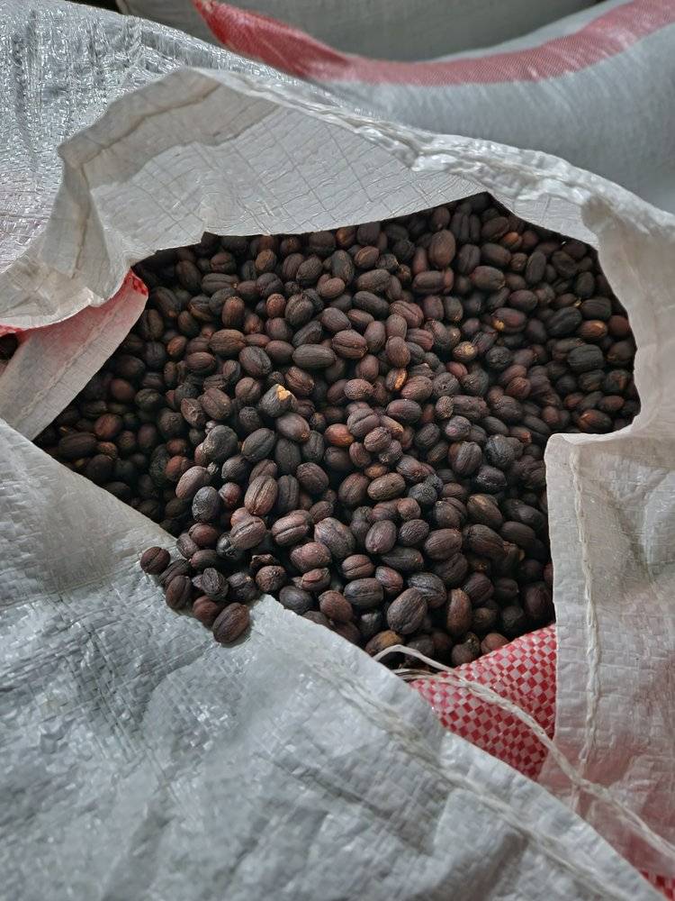 Rwanda - Intango VIllage lot - Filter - Washed - obrazek 4