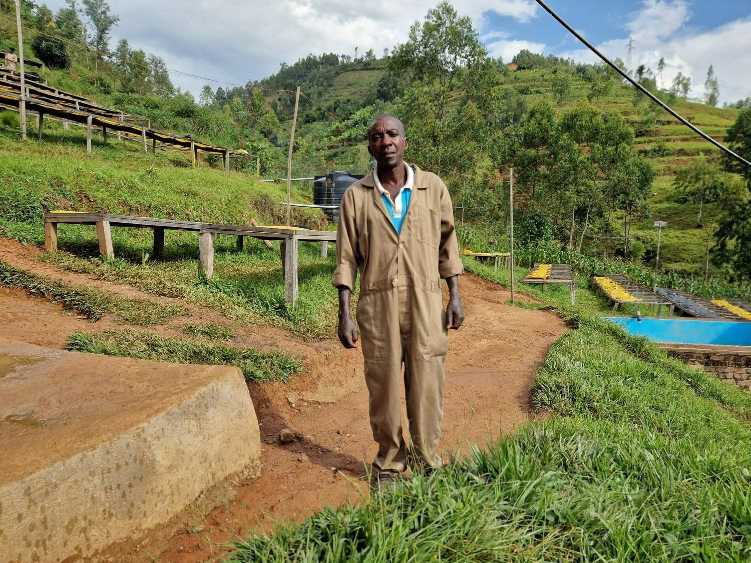Rwanda - Intango VIllage lot - Filter - Washed - obrazek 5